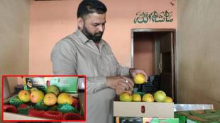South Africa mango kolhapur