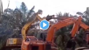3 jcb fight with each other video goes viral people call sasta transformers