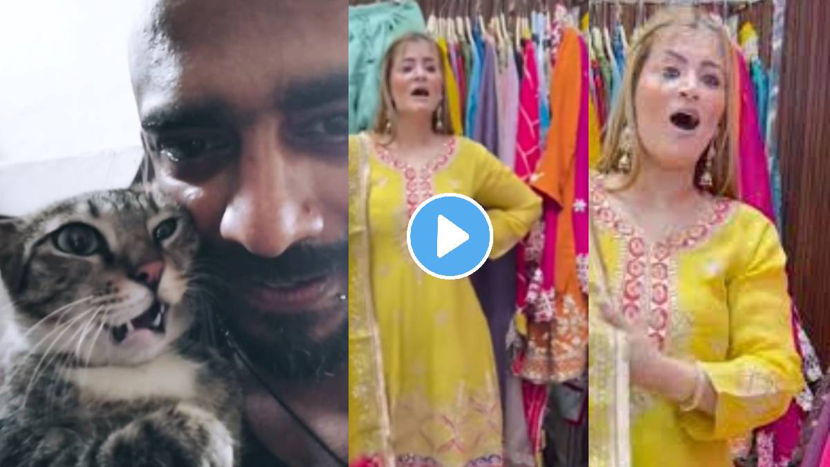 Just looking like a wow video reel viral of cat with her owner watch viral video