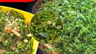 Harbharyachi bhaji recipe in marathi bhaji marathi recipe