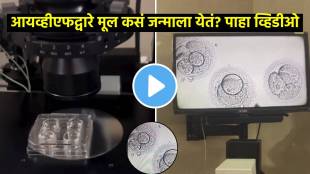 human journey to life through ivf embryo under microscope see beautiful viral video