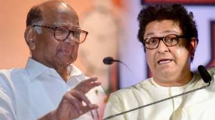 What Raj Thackeray Said?