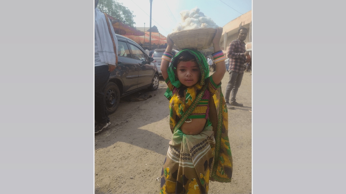 little girl, Shivani Vani, participated Elgar Morcha buldhana, demanding cotton get a good price