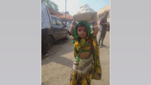 little girl, Shivani Vani, participated Elgar Morcha buldhana, demanding cotton get a good price