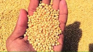 sorghum price increased due to fear of production shortage