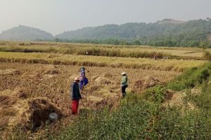 develop the land of Uran farmers