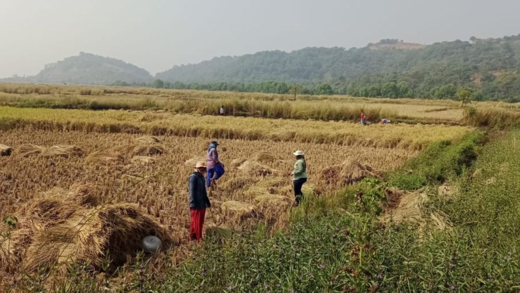 develop the land of Uran farmers