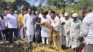 Vinayak Rauts criticism during agricultural damage inspection tour in Igatpuri