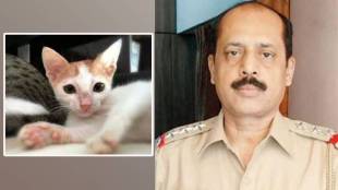 Waze moves court with a plea тАФ to adopt a kitten living in his prison