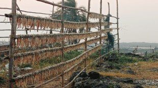 Unseasonal rain hits Palghar district
