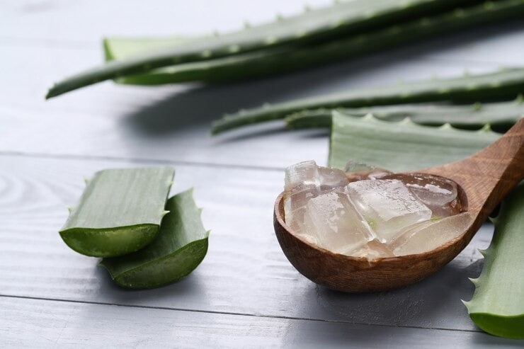 aloe-vera-for-hair-loss