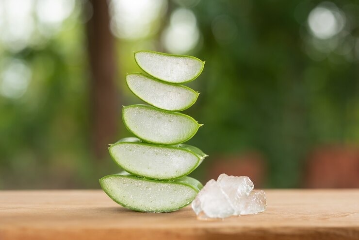 aloe-vera-for-hair-loss