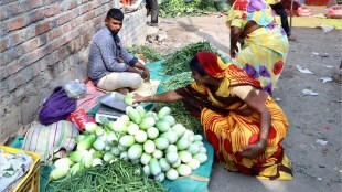 jalgaon bharit brinjal, brinjals increased at jalgaon market, jalgaon bharit parties brinjal demand increased