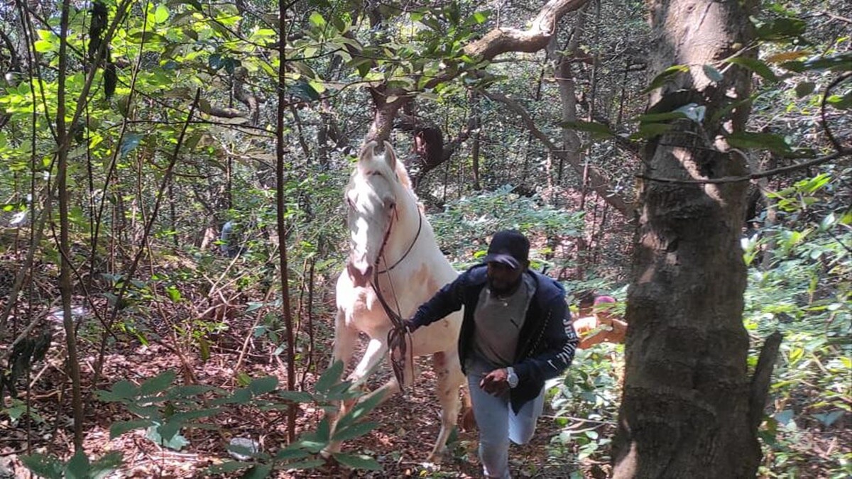 horse rider mahabaleshwar,