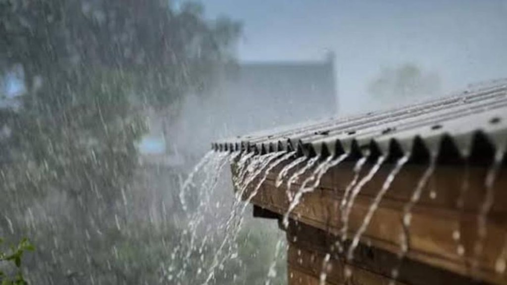 buldhana unseasonal rain for second day, buldhana fog farmer worries