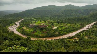 palghar district trees cut fot gargai water project, four and half lakh trees to be cut in wada