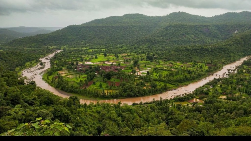 palghar district trees cut fot gargai water project, four and half lakh trees to be cut in wada