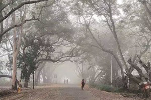 cold weather is likely to increase in the state, winter news maharashtra
