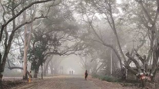 cold weather is likely to increase in the state, winter news maharashtra