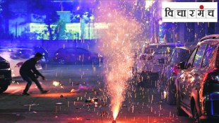diwali crackers pollute the environment in marathi, no point to celebrate diwali with crackers
