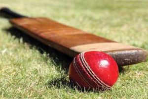 Vidarbha win by 10 wickets against Jharkhand