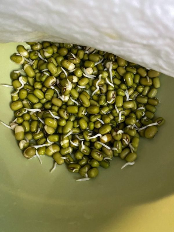 sprouted-moong