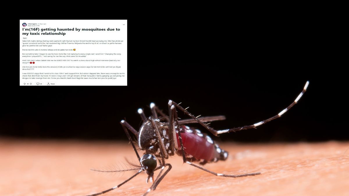 delhi girl hilarious rant about mosquitoes