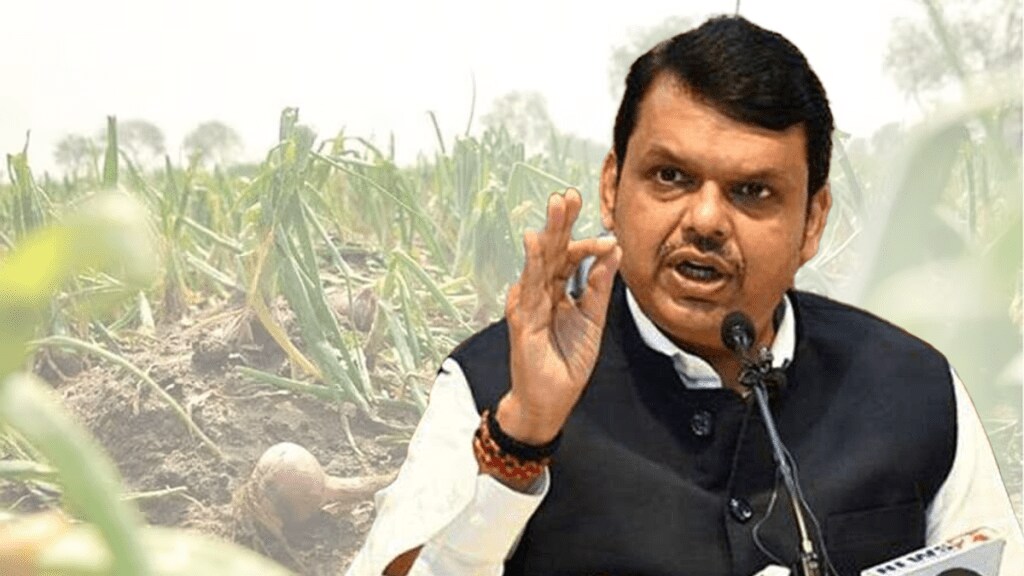 DCM Devendra Fadnavis District Collector asked send report Unseasonal rains caused heavy crop damage