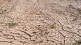 taluka Pune district drought