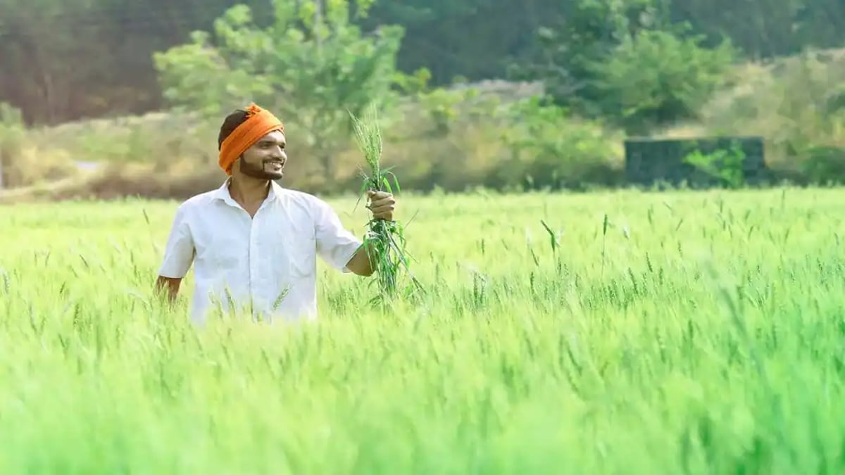 crop insurance compensation amount farmers accounts deposited Diwali notification government