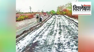Loksatta  explained How much damage was caused due to hailstorm in the state