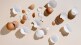 how to reuse egg shells or ande kavach in gardening as compost and cleaning