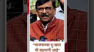 Sanjay Raut lashed out at BJP over Indias defeat