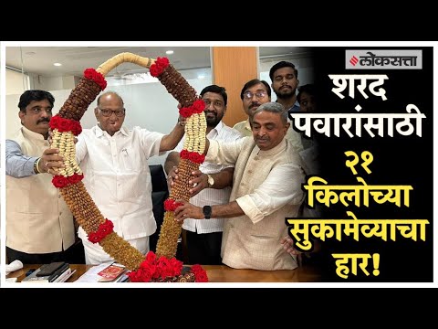 A 21 kg dry fruit necklace was given to Sharad Pawar