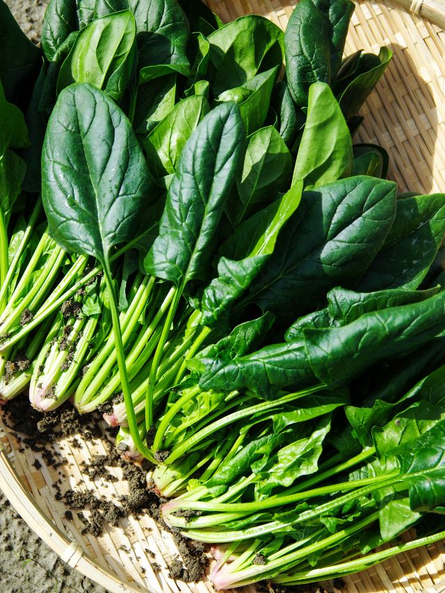 best foods for eye health tips gujarati news, spinach