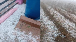 Gujarat Unseasonal rain | gujarat snowfall | Gujarat weather | IMD forecast