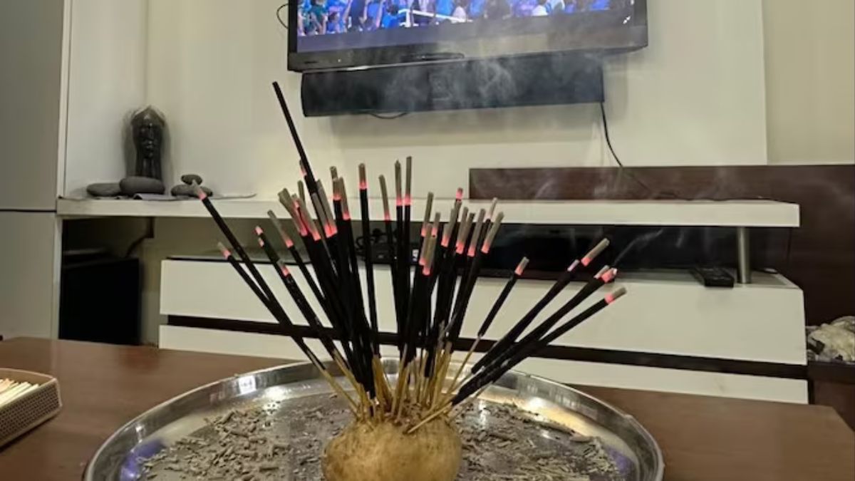 Man orders 240 incense sticks from Swiggy on World Cup semi-final day