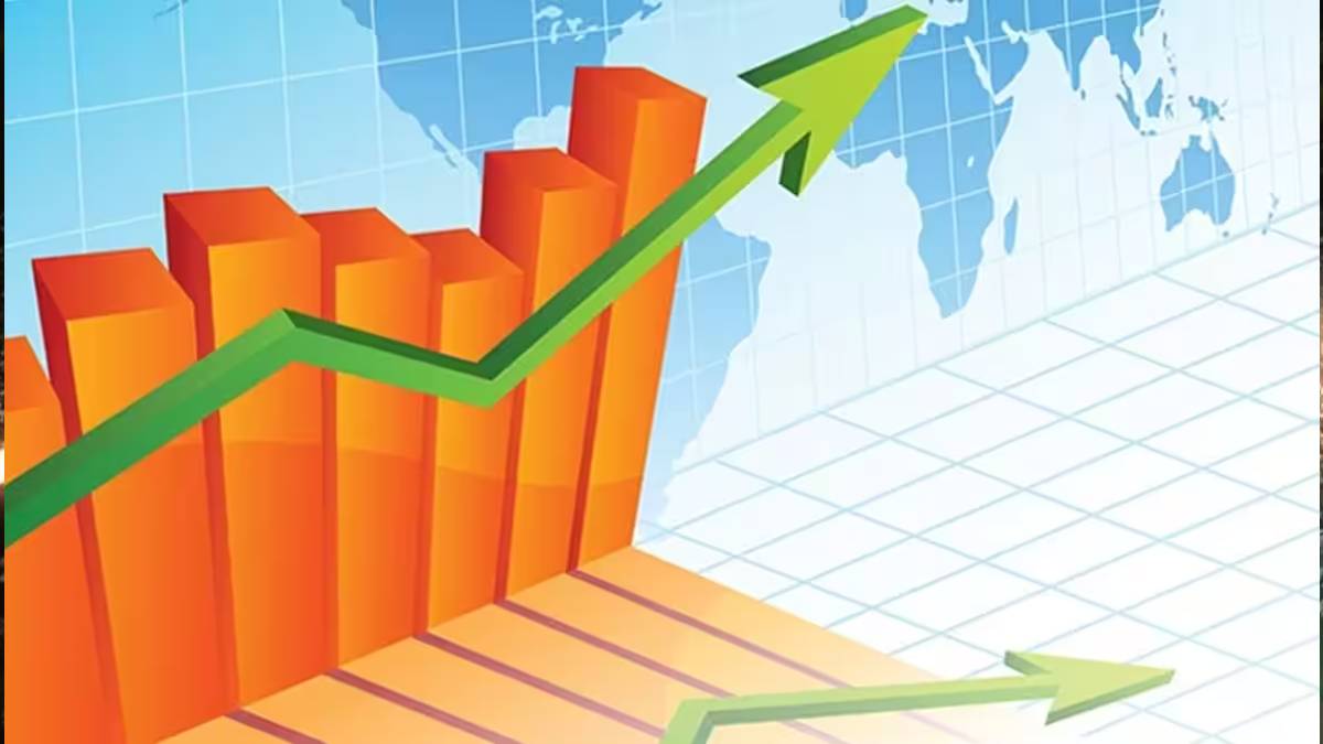 National Organic Chemical Industries Ltd, share market investment