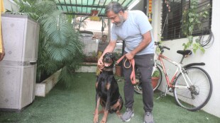 max dog doctor leopard news nashik