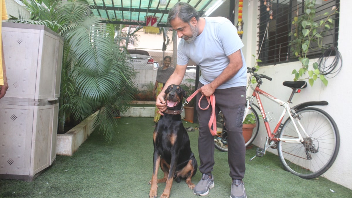 max dog doctor leopard news nashik