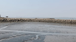 officials Maharashtra Maritime Board claimed Ro Ro Water route from mora to mumbai start 2024
