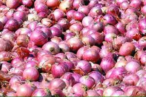 onion prices likely to remain high for next month
