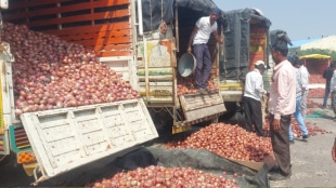 onion auction will remain closed 11 to 13 consecutive days during Diwali, farmers will face difficulties nashik