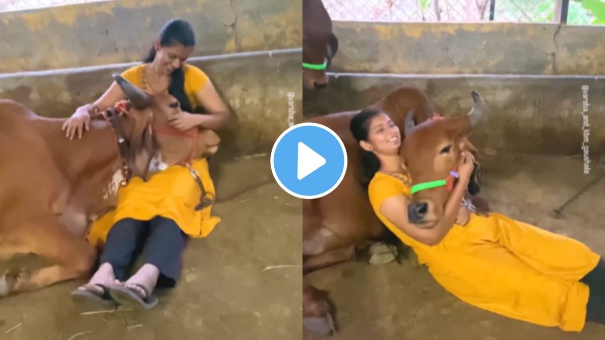 love the animals they will love you more