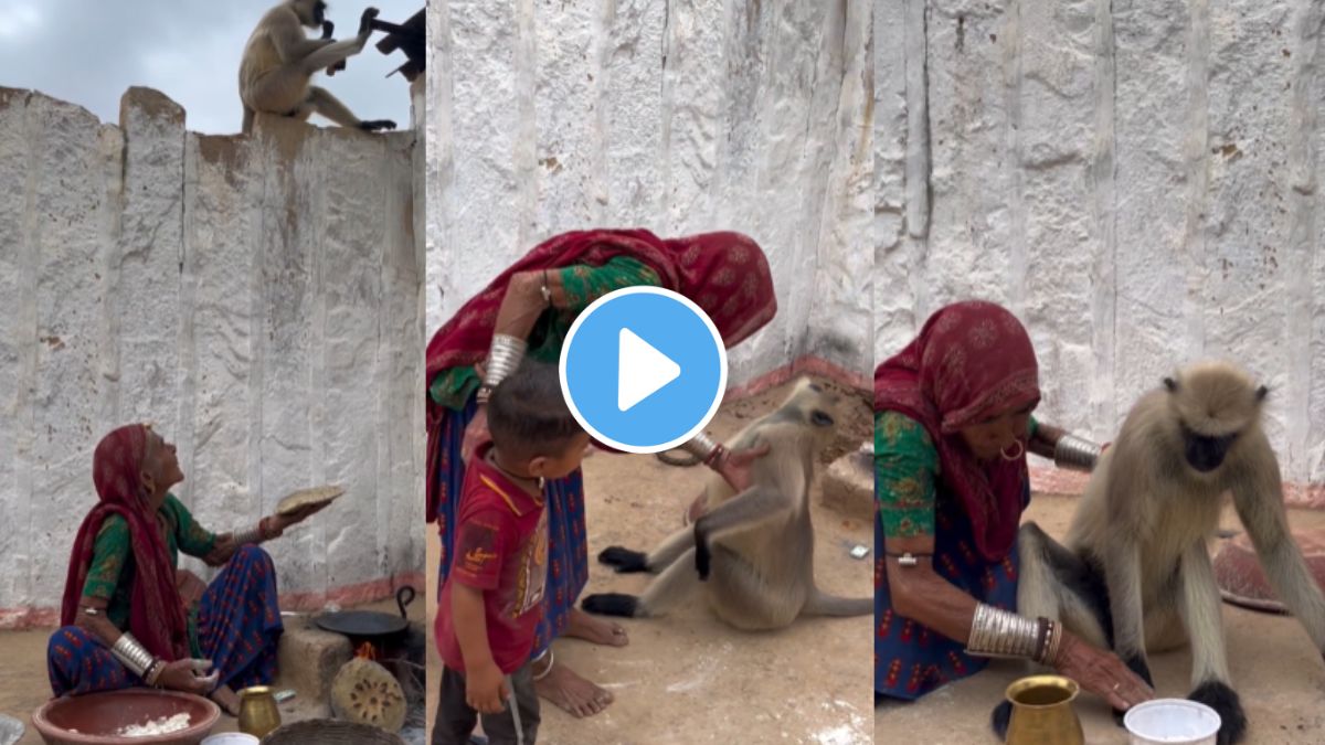an old lady feeding bhakari to monkey