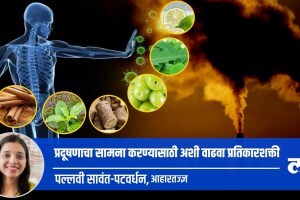 Know how to Increase immunity to fight pollution