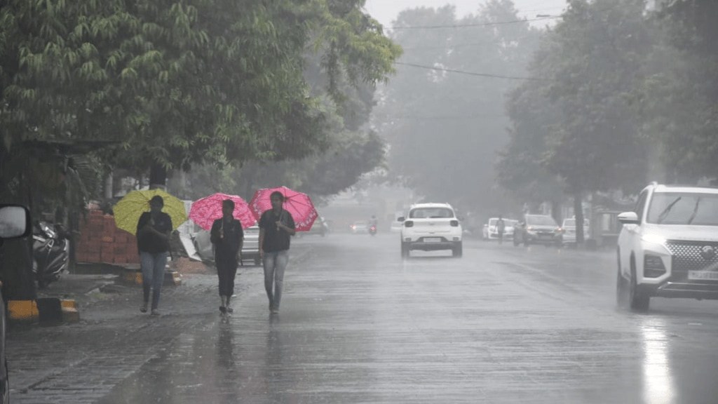 Sunday Monday, Other cities Vidarbha nagpur received heavy rains hail