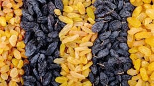 raisin were priced at Rs 180 per kg in the first deal