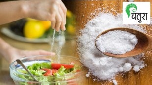 Different types salt used Ayurveda need disease