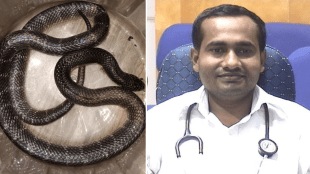Three doctors saved divyangi's life manyar snake bitten chandrapur